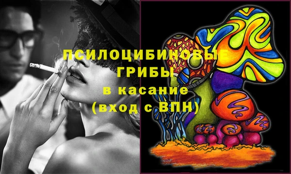 гашик Абинск