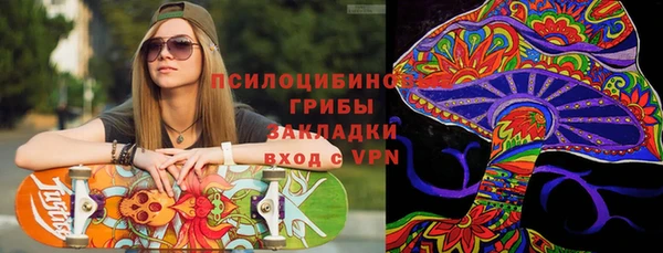 гидропоника Абаза