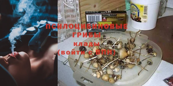 гашик Абинск