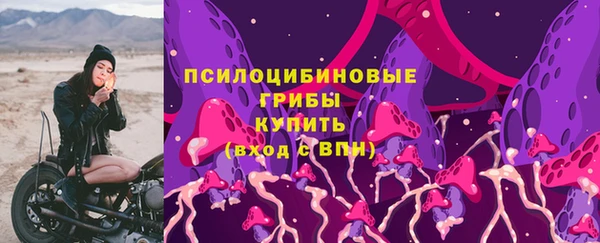 гидропоника Абаза