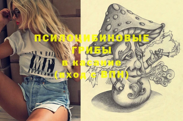 гашик Абинск