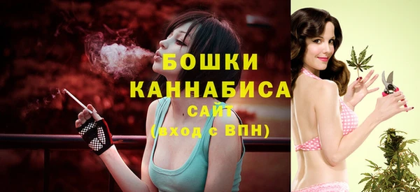 винт Надым