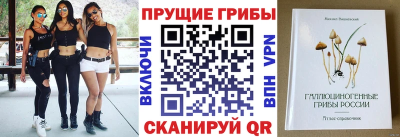 Псилоцибиновые грибы мухоморы  Щёлково 